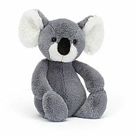 Bashful Koala