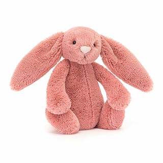 Bashful Sorrel Bunny Small