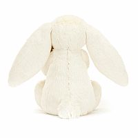 Bashful Bunny with Pencil