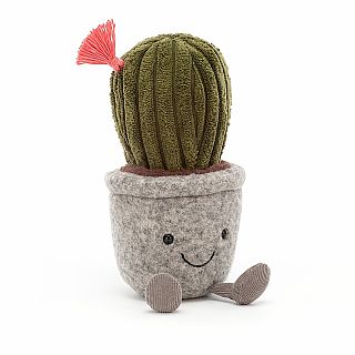 Cactus Silly Succulent 