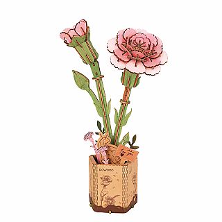 Pink Carnation 