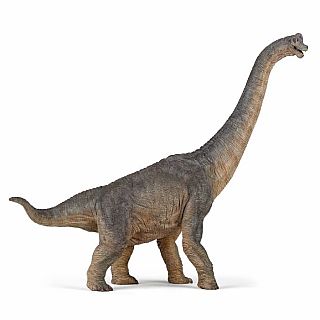 Brachiosaurus