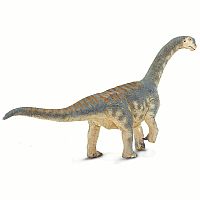 Camarasaurus 