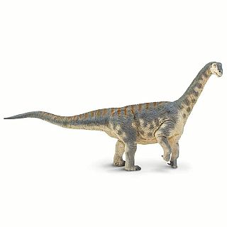 Camarasaurus 