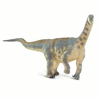 Camarasaurus 