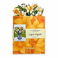 Mini English Daffodil Pop Up Card