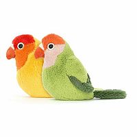 Pair Of Lovely Love Birds 