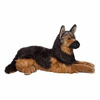 Major German Shepherd