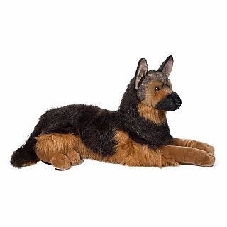 Major German Shepherd