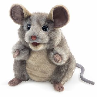 Gray Mouse 