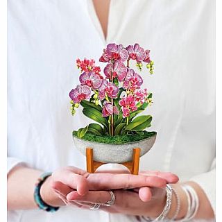 Mini Orchid Oasis Pop Up Card 