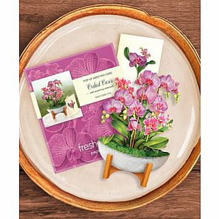 Mini Orchid Oasis Pop Up Card 