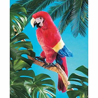 Scarlet Macaw - Puppet 