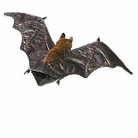 Fruit Bat Puppet