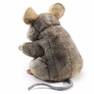 Gray Mouse 